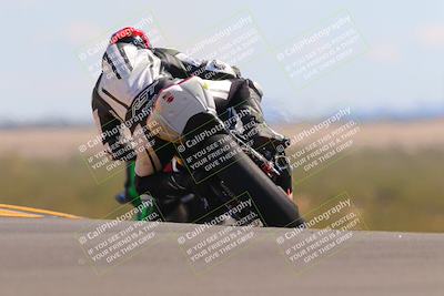 media/Oct-09-2022-SoCal Trackdays (Sun) [[95640aeeb6]]/Turn 9 Backside (120pm)/